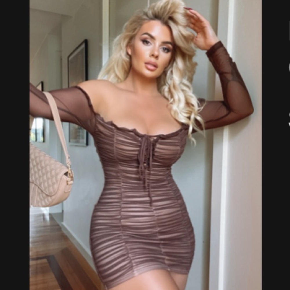 Chocolate Long Sleeve Ruched Dress